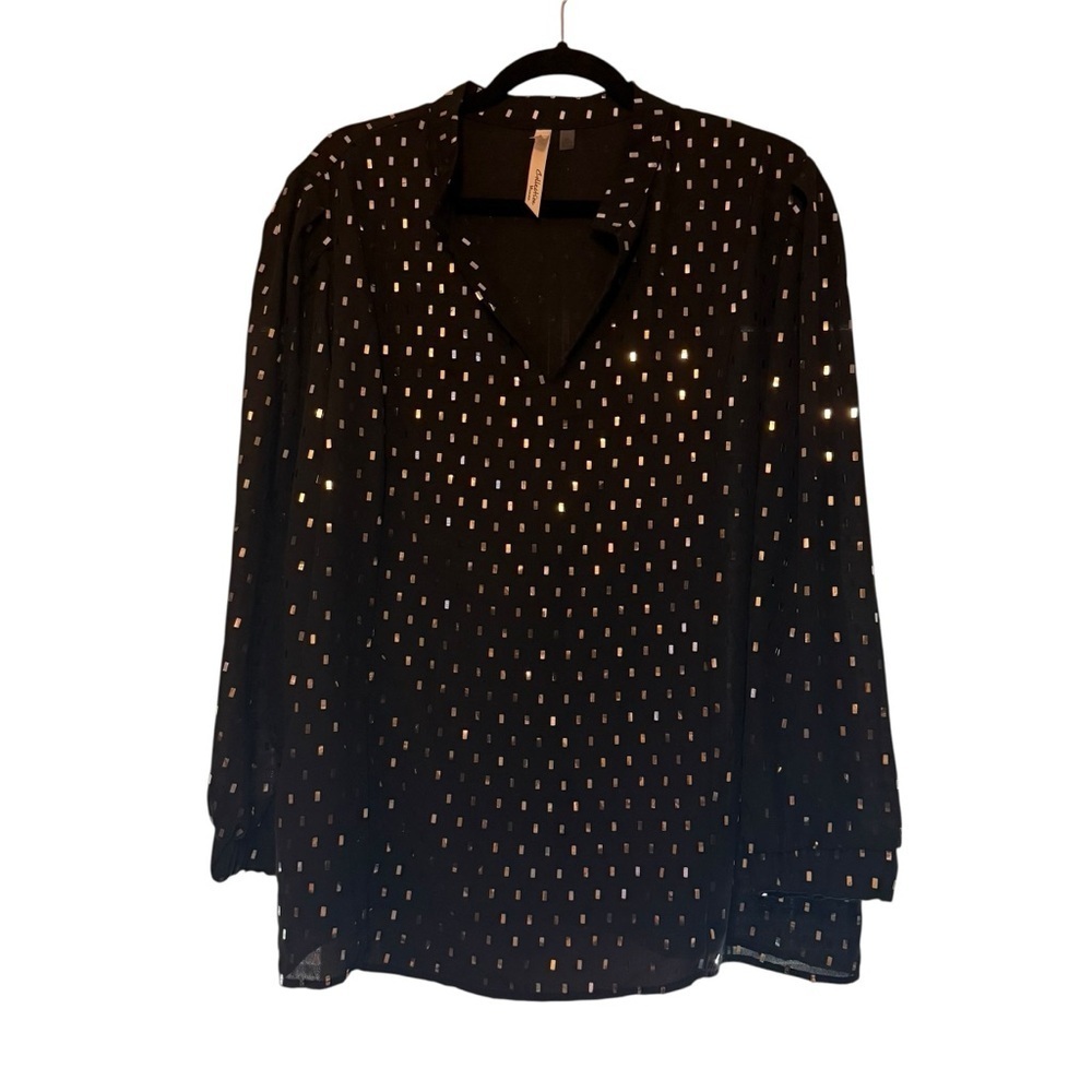 NY Collection LS Semi-Sheer Chiffon  Black Silver Mirror Blouse size 2X
